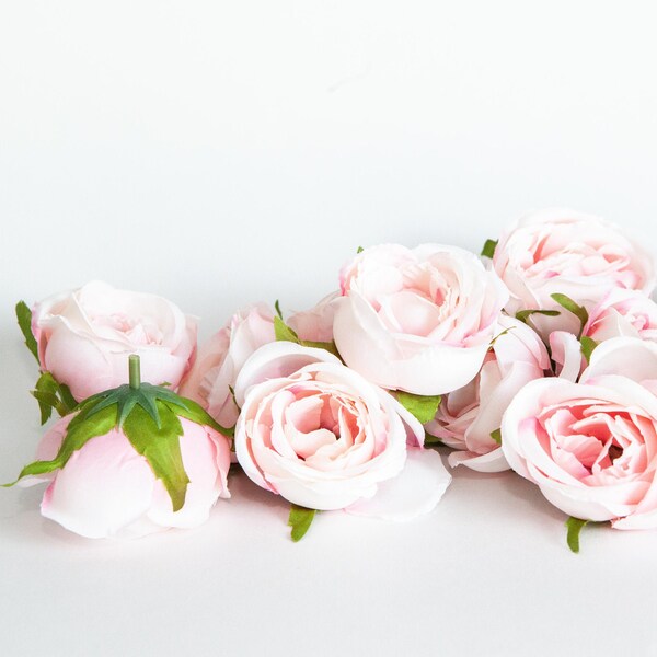 White Cabbage Rose - Etsy