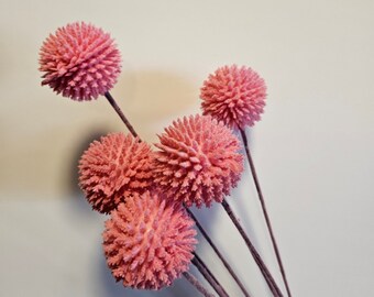 7 Adorable Billy Button Balls - Pink - 0447