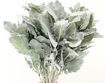 One 18" Flocked Dusty Miller, Silver Oak Leaves ON STEM - Artificial Dusty Miller, Faux Silver Oak Leaf, Flower Crown Filler - iTEM 01443