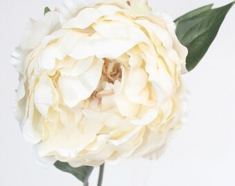 Stunning Artificial Peony in Ivory Cream ON or OFF Stem - 19 inch stem - artificial flower - Peony