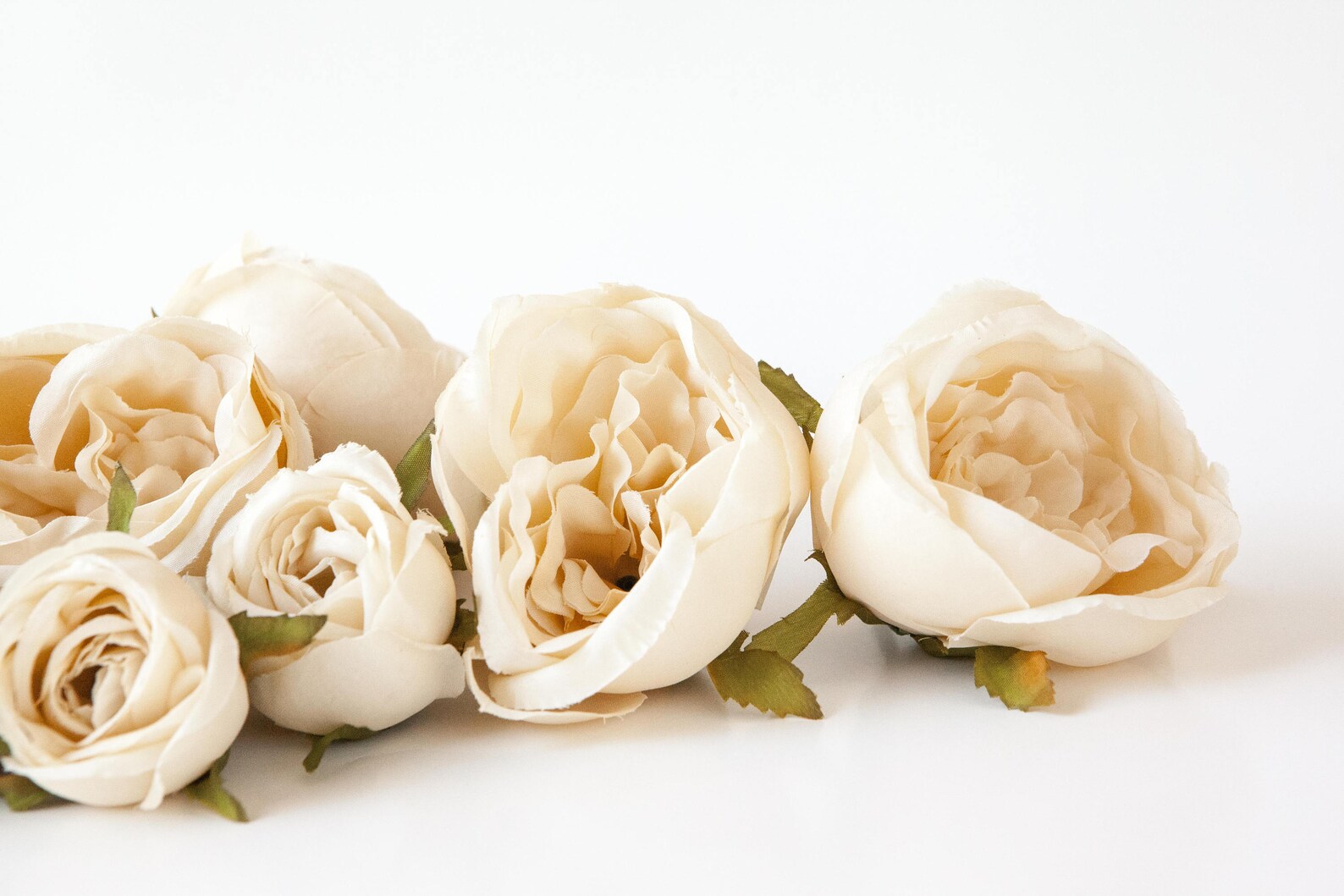 Set of 9 Small to Large Cabbage Roses in Cream Flower Crown | Etsy