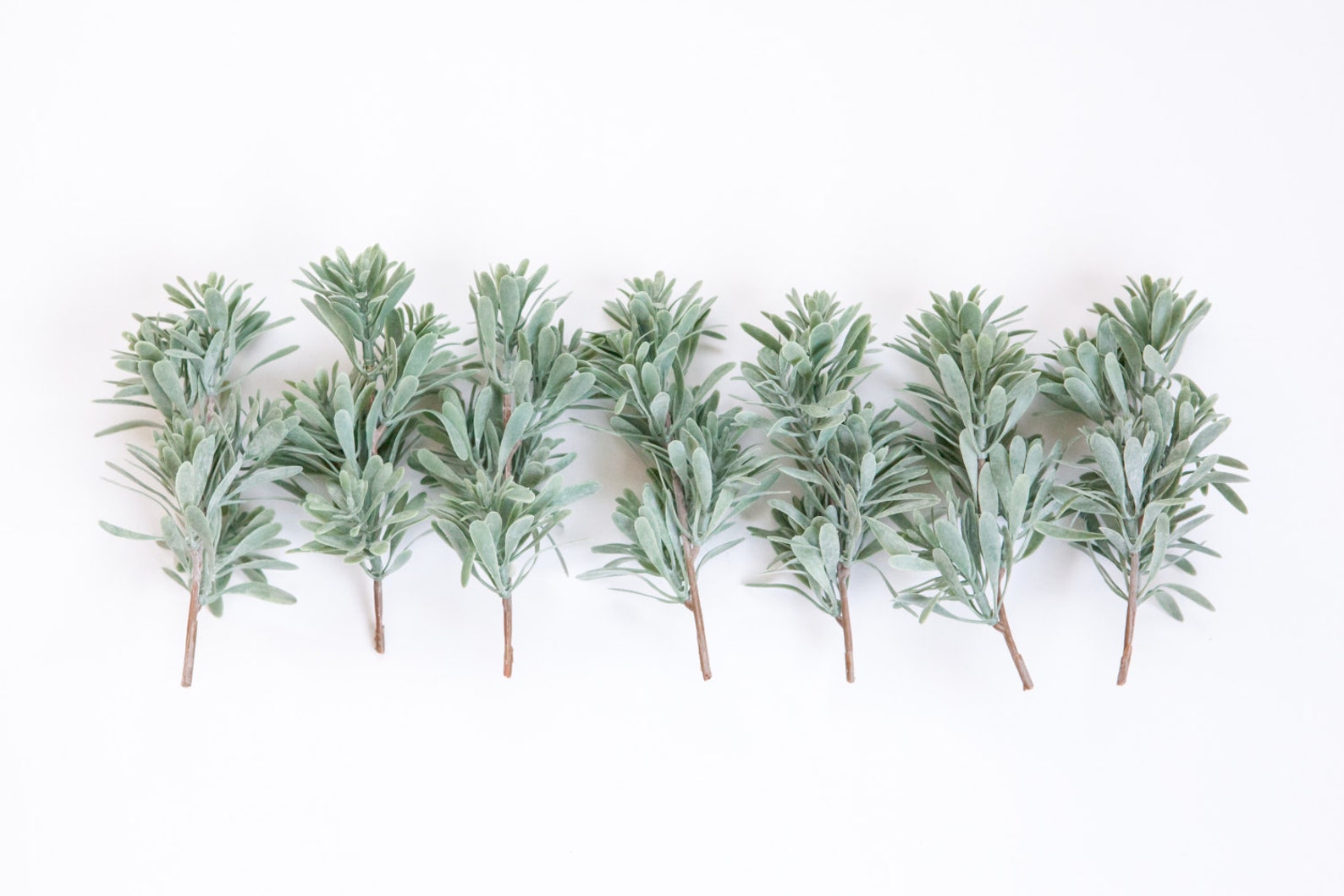 Set of 7 Artificial Succulent Bush Stems in Sage Frosted Etsy
