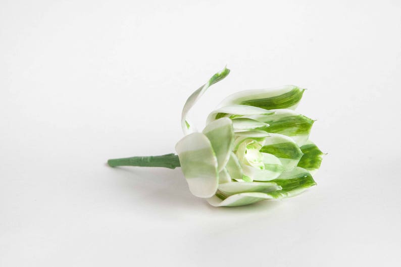 Fake Succulents Succulent Succulents One Larger Artificial Echeveria Succulent in White and Green Striped ITEM 01253