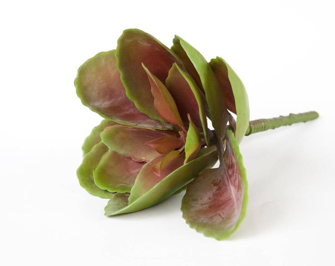 Fake Succulents Extra Large Artificial Succulent Echeveria Etsy