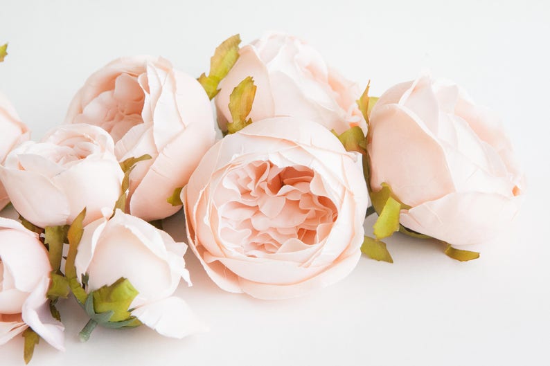 Set of 9 Small to Large Cabbage Roses in Creamy Blush Pink Flowers, Silk flowers, Artificial Flowers read description ITEM 01194 image 10