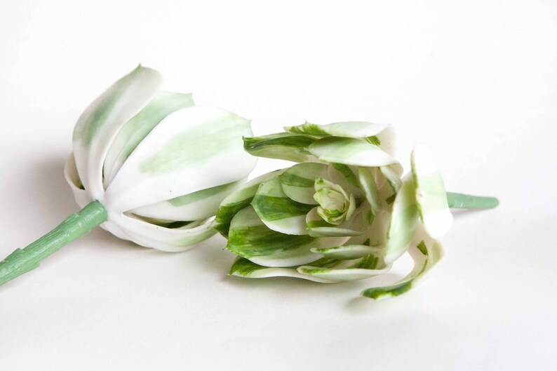 Fake Succulents Succulent Succulents One Larger Artificial Echeveria Succulent in White and Green Striped ITEM 01253