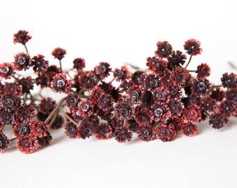 9 Bunches Burgundy Gypsophila Filler, baby's breath filler - Wreath Filler, Crown Filler, Arrangement Filler - ITEM 01289