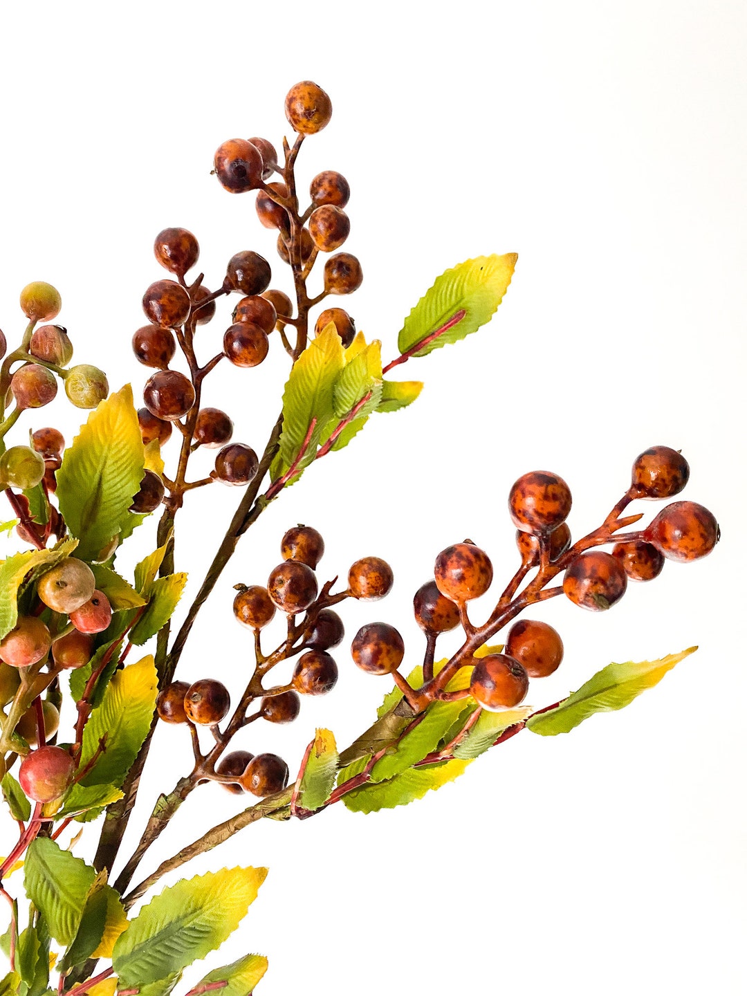 Natural Looking Rustic Fall Berry Stems Autumn Berries