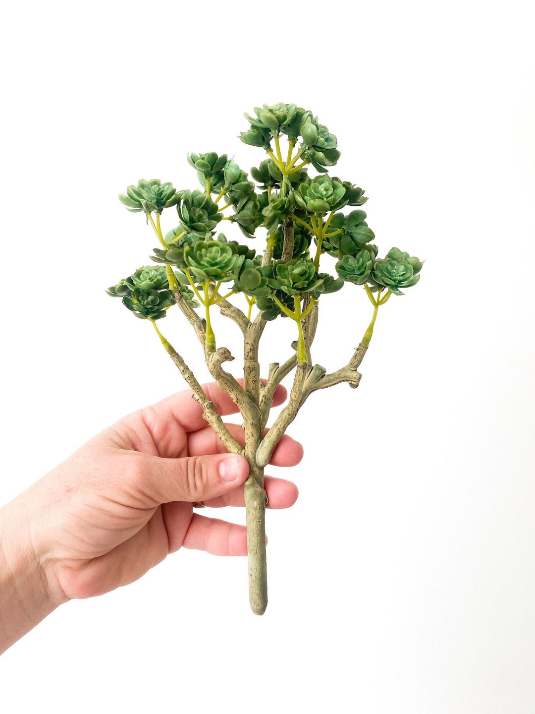 Fake Succulents Real Touch Artificial Mini Sedum Succulent Tree in