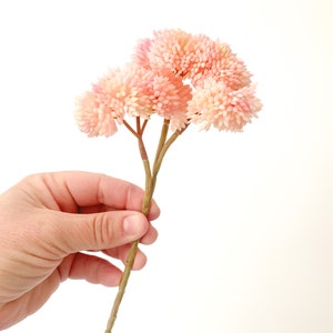 Fake Succulents ONE Artificial Sedum Succulent Pick in Light Pink Tones and Cream Succulent, Succulents, Artificial Flowers ITEM 01654 image 2