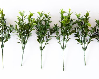 6 Short Boxwood Stems  - Faux Succulent - artificial flowers, boxwood stems, filler, Artificial Flowers - ITEM 01457