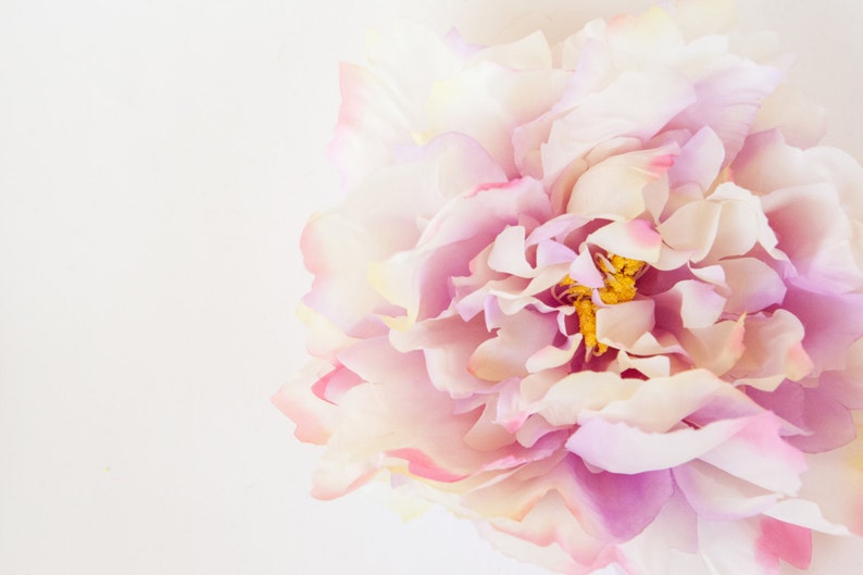 ITEM 0599 Artificial Silk Flower EXTRA LARGE Ivory and Pink Tones Peony 7 inches