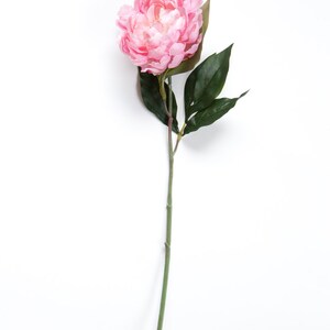 Silk Blend Peony in Shabby Chic Whimsical Light Pink silk artificial flower ITEM 0511 image 5