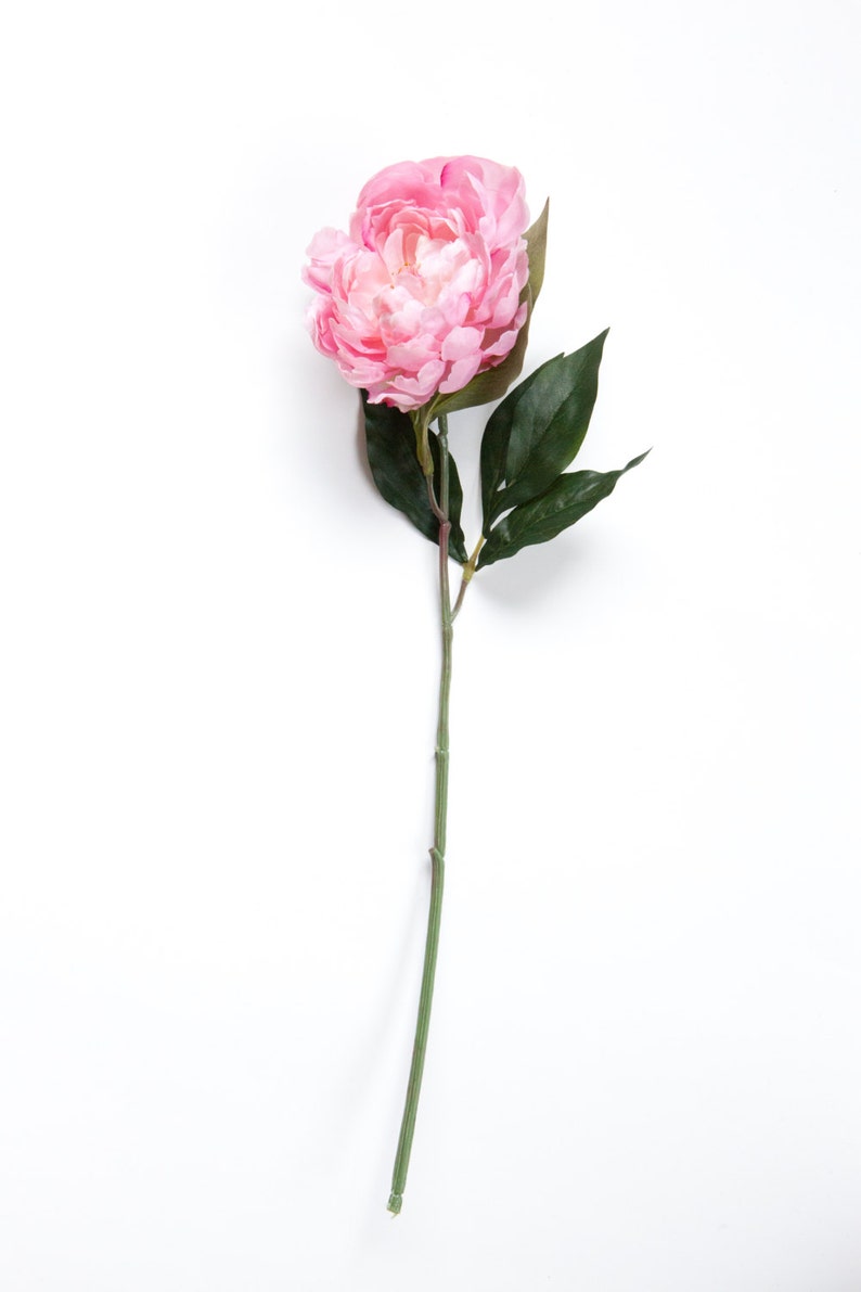 Silk Blend Peony in Shabby Chic Whimsical Light Pink silk artificial flower ITEM 0511 image 5