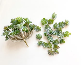 24 Fake Succulents -Budget Quality Mini Succulents in Frosted Green -Choose Bush Pick OR Pieces-Succulent, Faux Succulents, Succulent Pieces