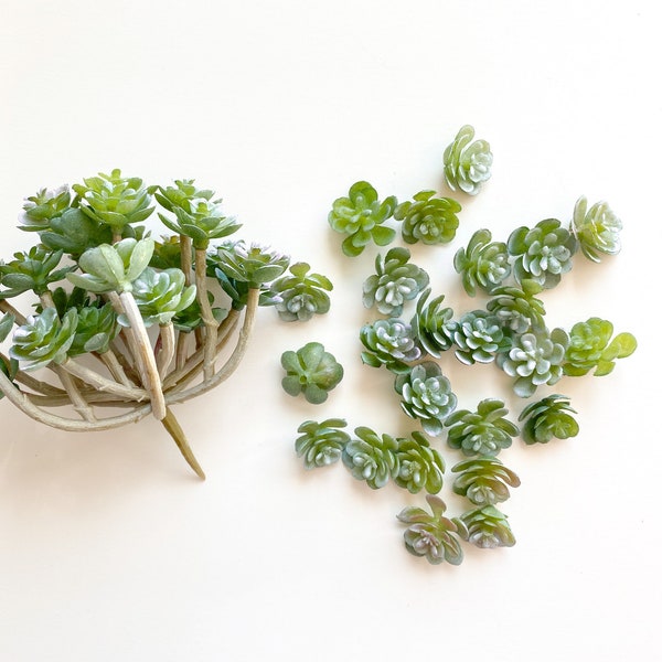 24 Fake Succulents -Budget Quality Mini Succulents in Frosted Green -Choose Bush Pick OR Pieces-Succulent, Faux Succulents, Succulent Pieces