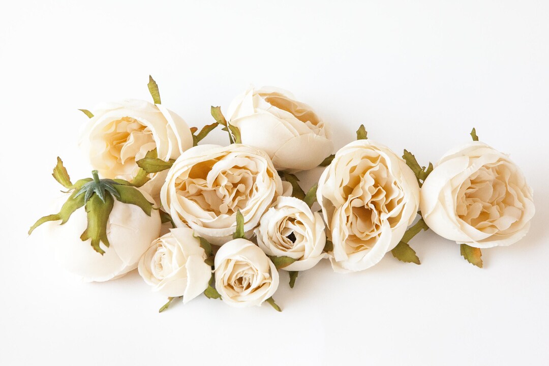 Set of 9 Small to Large Cabbage Roses in Cream Flower Crown Supplies ...