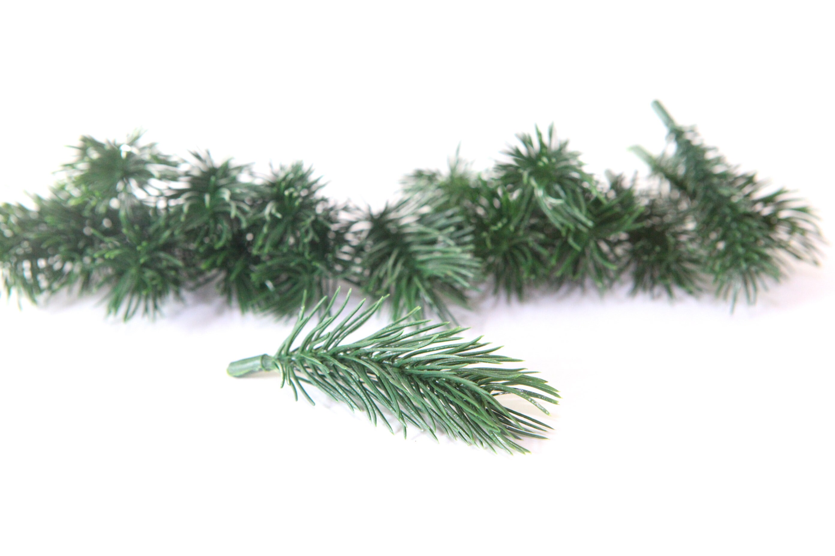 3 Loblolly Pine Branches With Pine Needle Bundles 