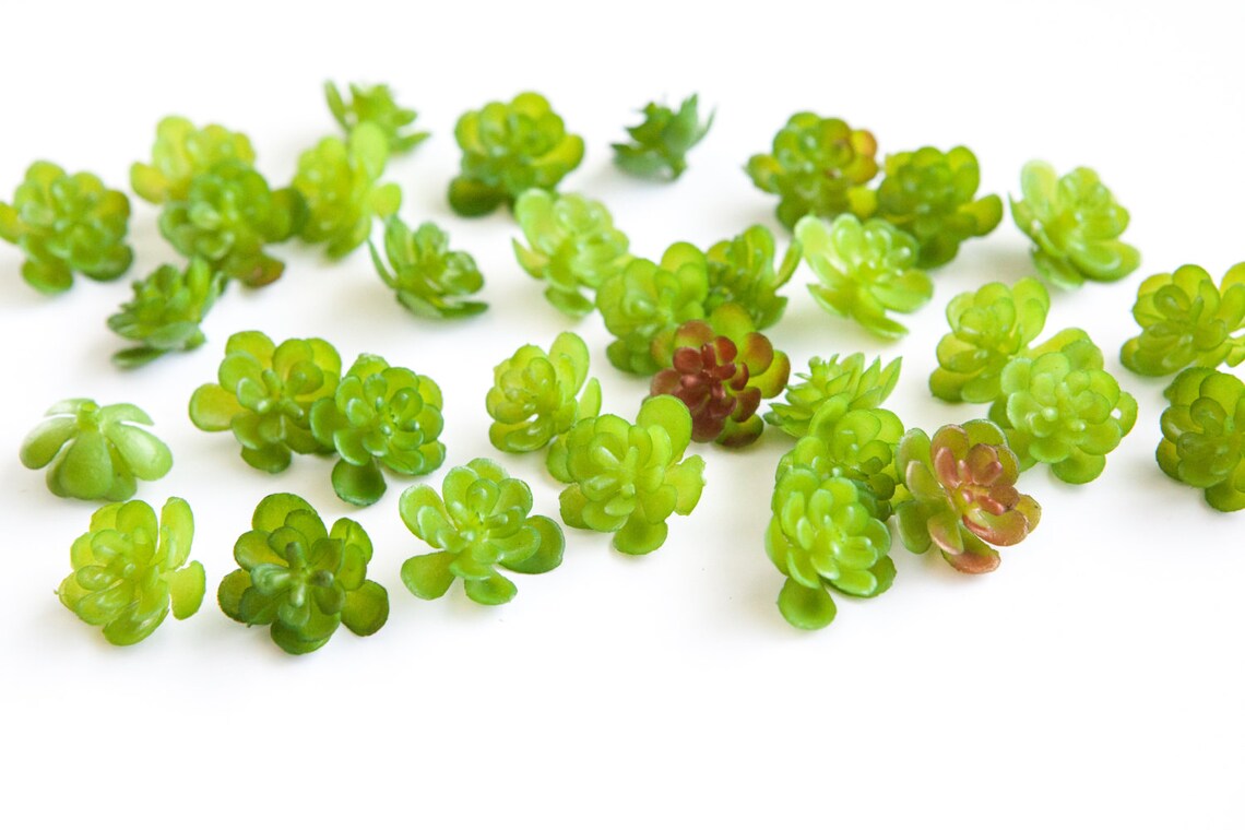 Fake Succulents 2434 Artificial Mini Succulents in Green Etsy