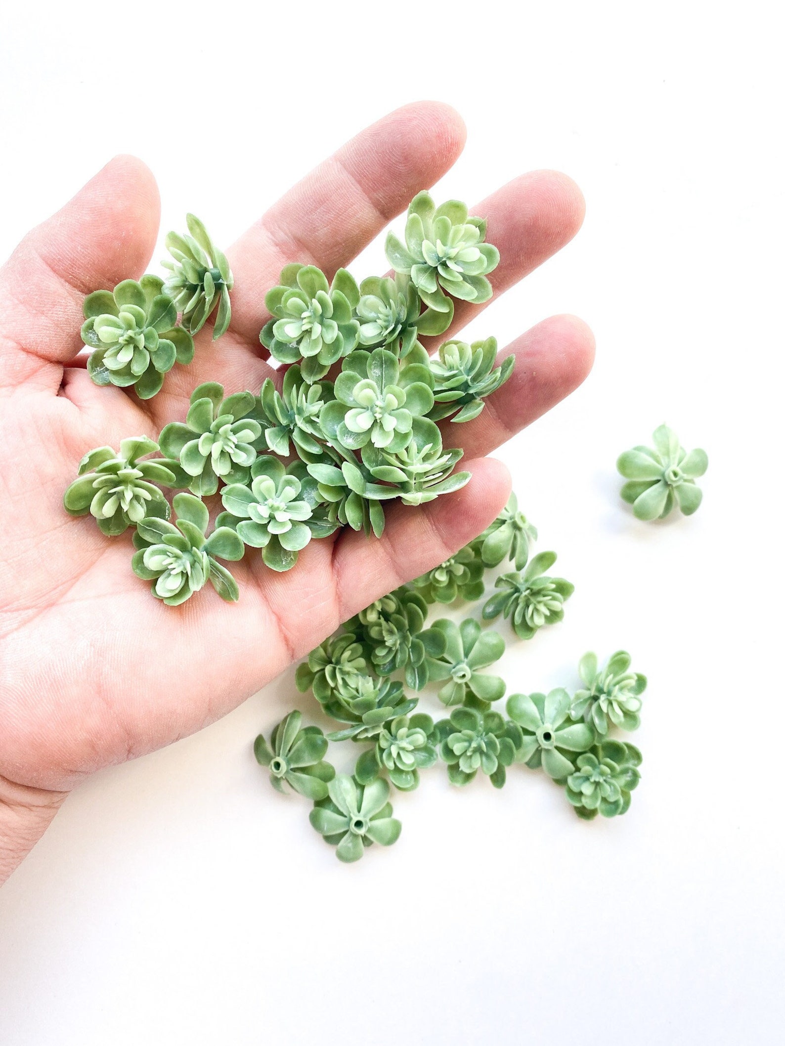 Fake Succulents 28 Artificial Mini Succulents in Frosted Etsy