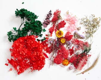 GRAB BAG #69 - Real Dried Flower Mix - Variety Mix - Artificial Flowers, Prop Photography, Photography Props, Boho Photo Prop