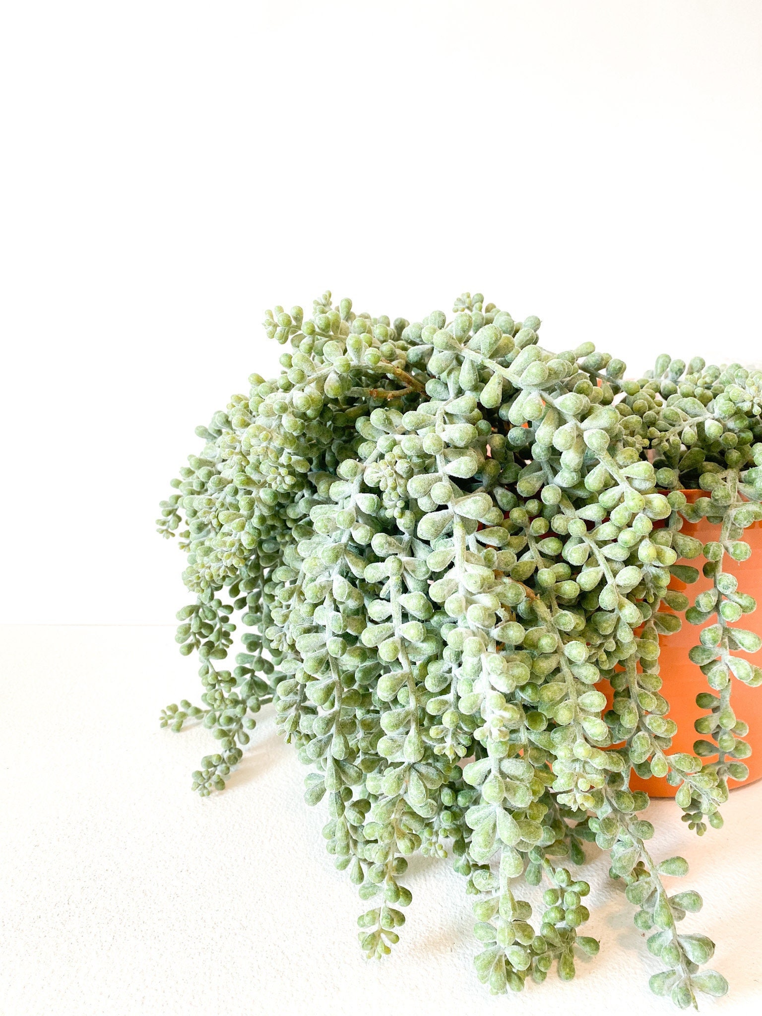 Artificial String-of-pearls Succulent 30cm 