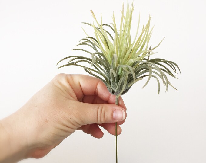 One Two Tone Green Artificial Air Plant Easter Grass Succulent on Pick