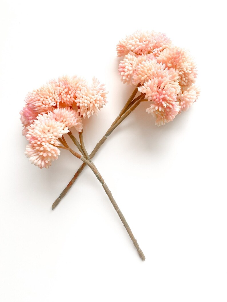 Fake Succulents ONE Artificial Sedum Succulent Pick in Light Pink Tones and Cream Succulent, Succulents, Artificial Flowers ITEM 01654 image 1