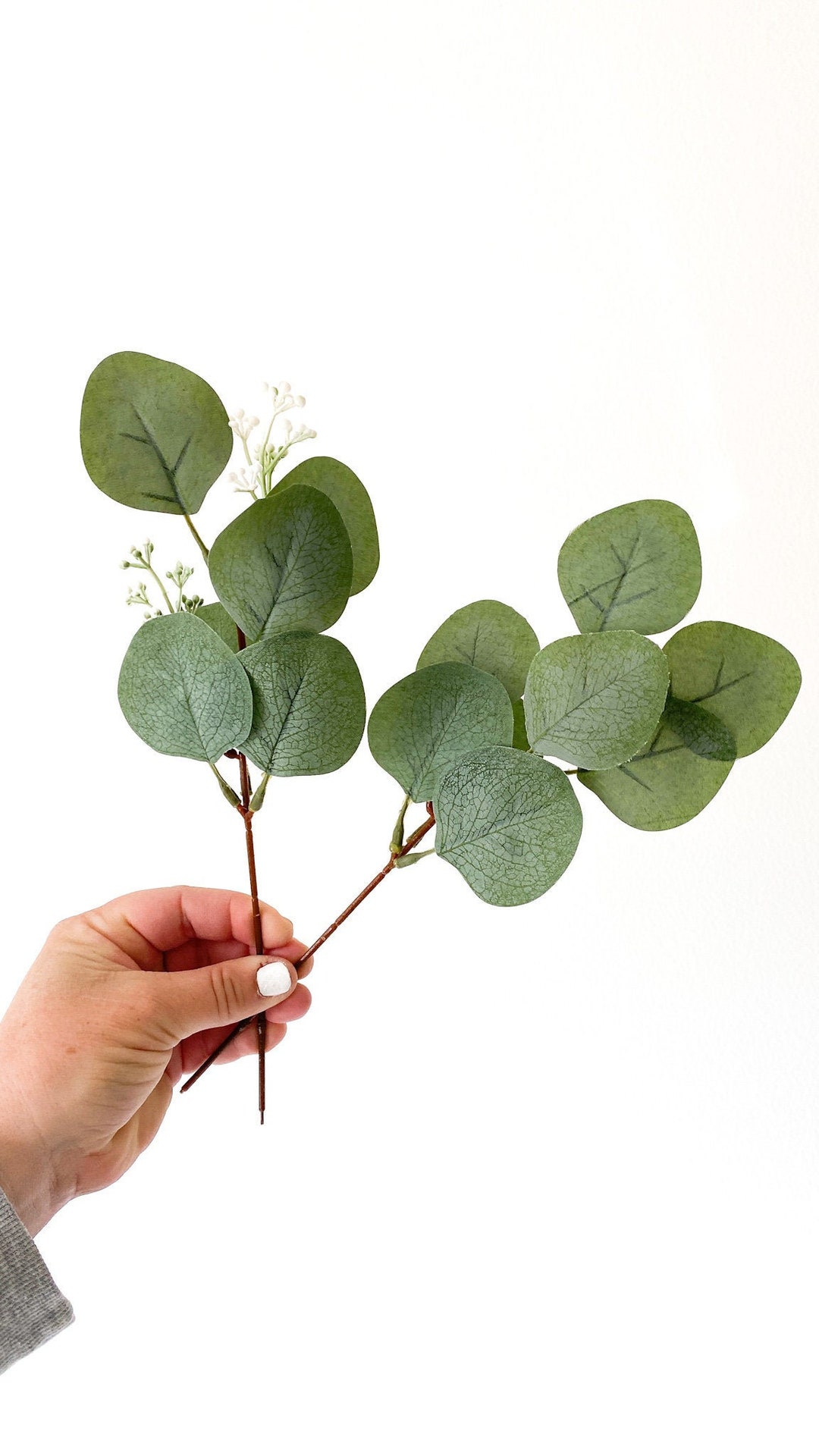 Eucalyptus Pick CHOOSE STYLE Budget Quality Artificial Eucalyptus, Seeded Eucalyptus Artificial