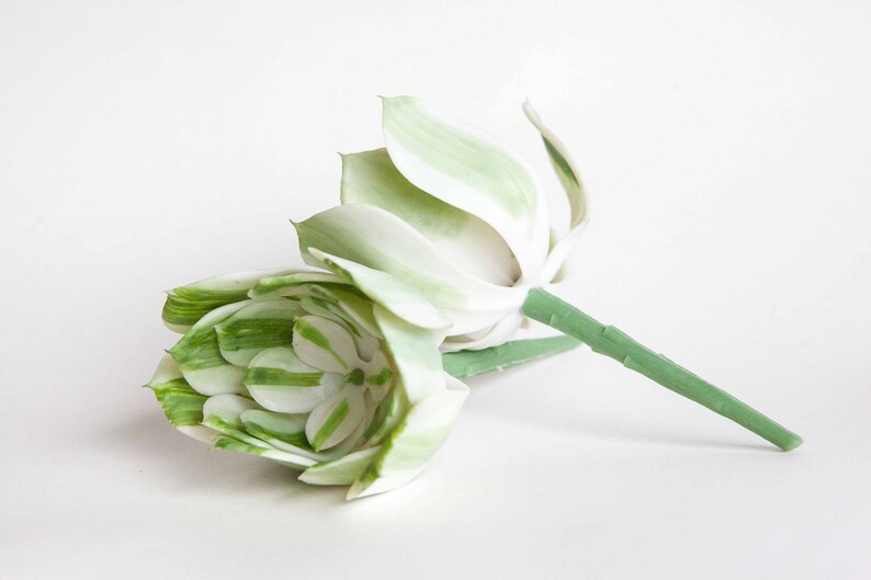 Fake Succulents Succulent Succulents One Larger Artificial Echeveria Succulent in White and Green Striped ITEM 01253