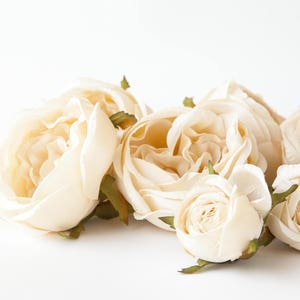 Set of 9 Small to Large Cabbage Roses in Cream Flower Crown Supplies ...