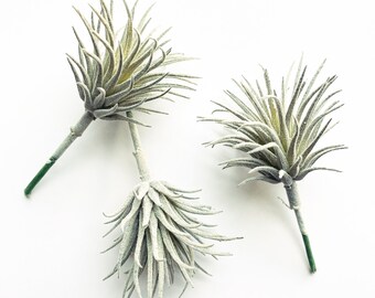 3 Artificial Succulent Air Plants in Gray Green - Fake succulents - ITEM 01626