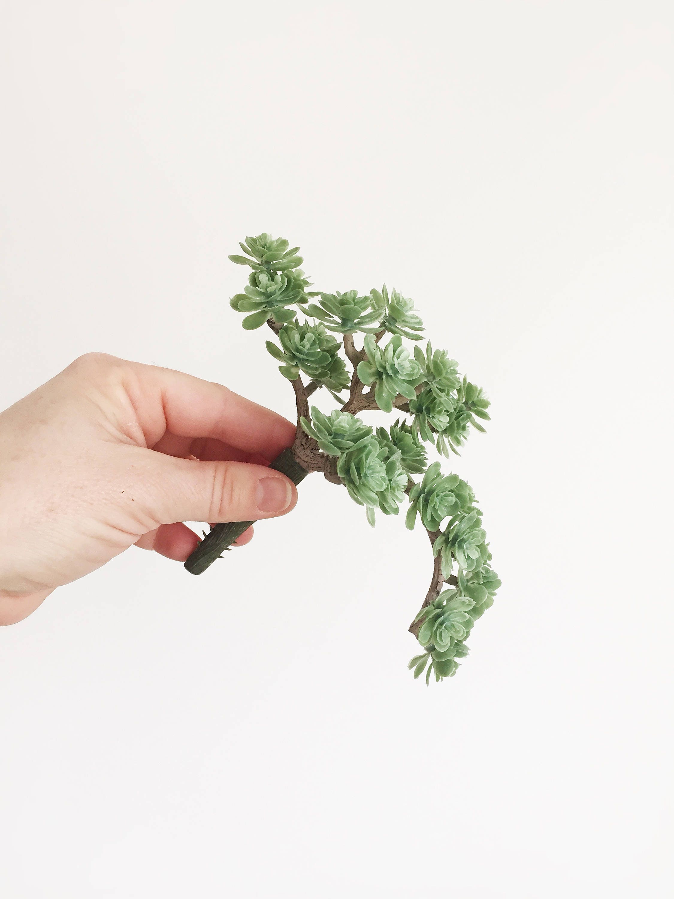 Fake succulents Sedum Pick with 30 Artificial Mini Etsy