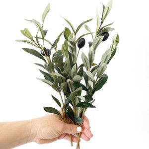 Olive Branch Stems in Green - Filler, Crown Filler, Foliage, Olive Branch, Olives, Artificial Flowers - ITEM 01353