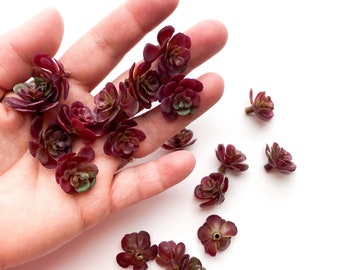 Fake succulents - Sedum Pick with 18 Artificial Mini Succulents in Burgundy - Succulent, Succulents, Artificial Flowers