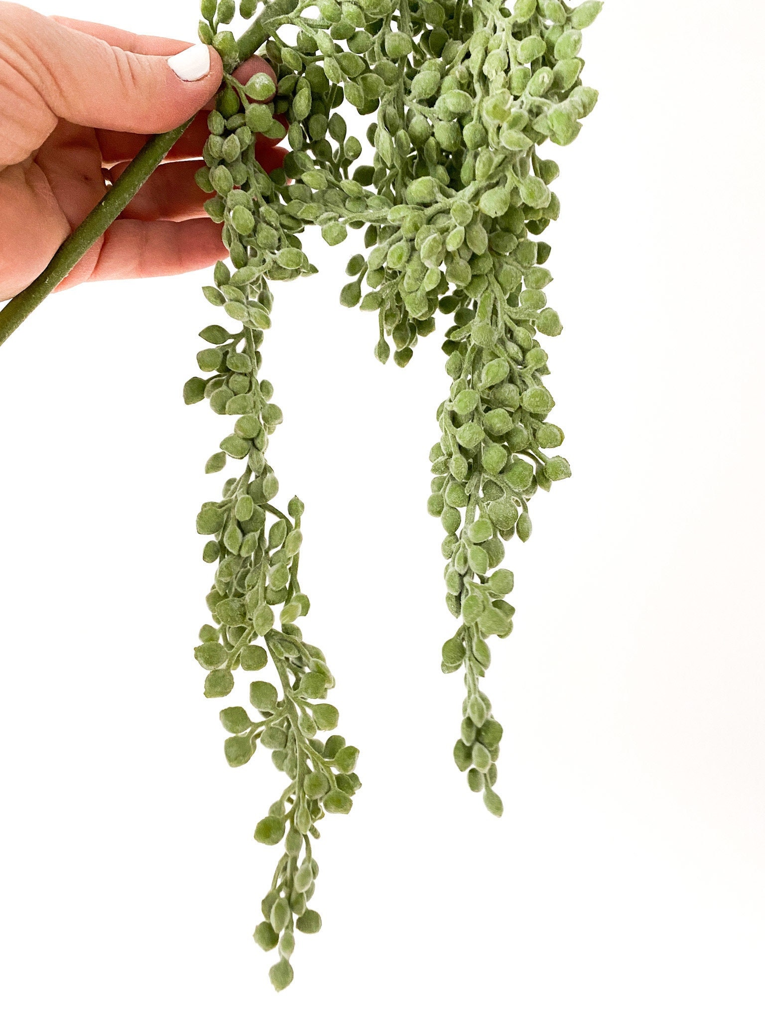Artificial Succulent, String of Pearls, Succulent, String of