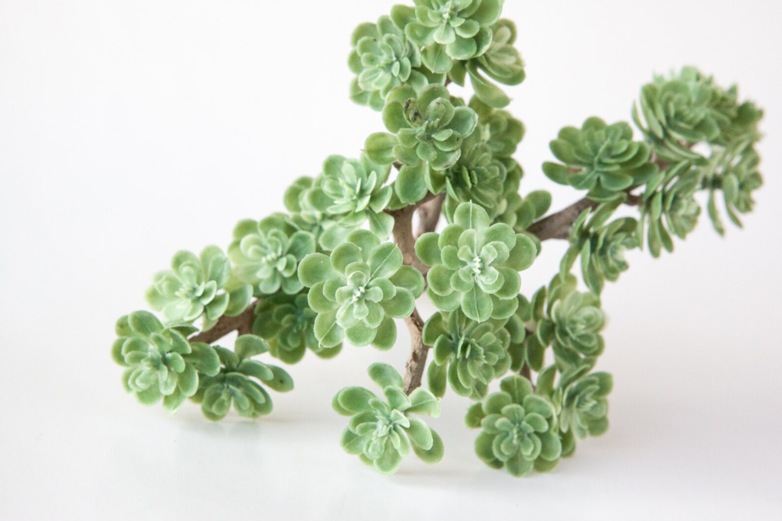 Fake Succulents Sedum Pick With 30 Artificial Mini Etsy