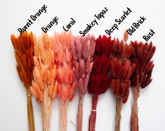 50 Dried Bunny Tail Rabbit Grass Stems in Red and Orange Tones- CHOOSE C0LOR -Naturally Dried - Lagurus Pampas Grass - Boho Wedding Decor