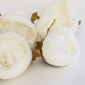Set of 9 Small to Large Cabbage Roses in Ivory White Silk Artificial Flowers read description ITEM 01004 image 6