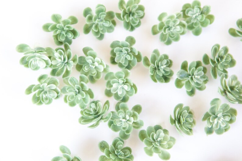 Fake Succulents 28 Artificial Mini Succulents in Frosted Etsy