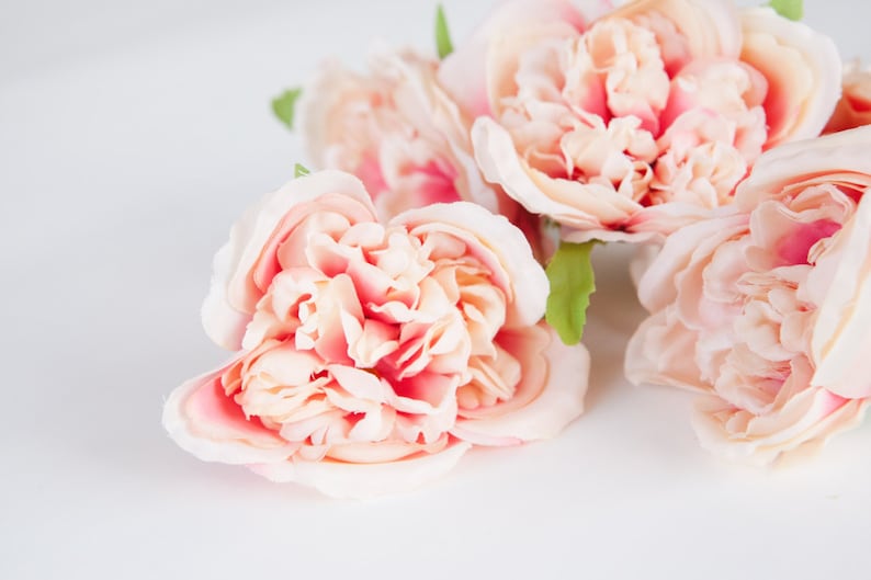005 silk roses 5 Fully Bloomed Vintage Inspired Shabby Chic Pink and Cream Cabbage Roses ITEM