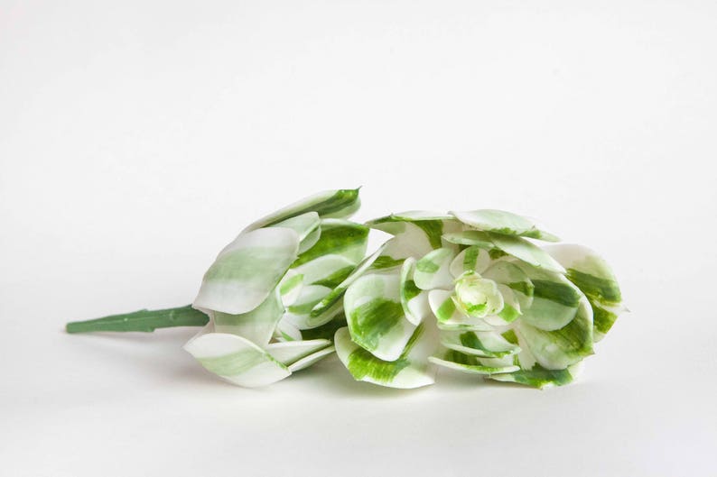 Fake Succulents Succulent Succulents One Larger Artificial Echeveria Succulent in White and Green Striped ITEM 01253