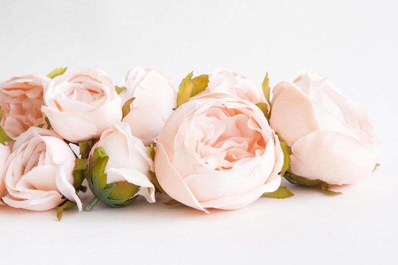 Set of 9 Small to Large Cabbage Roses in Creamy Blush Pink Flowers, Silk flowers, Artificial Flowers read description ITEM 01194 image 2