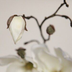 Silk Flower Stem 19 Magnolia Spray in White Floral Arrangement Supply ITEM 0912 image 5