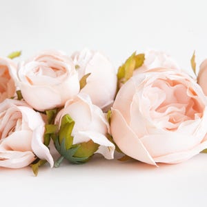 Set of 9 Small to Large Cabbage Roses in Creamy Blush Pink Flowers, Silk flowers, Artificial Flowers read description ITEM 01194 image 6