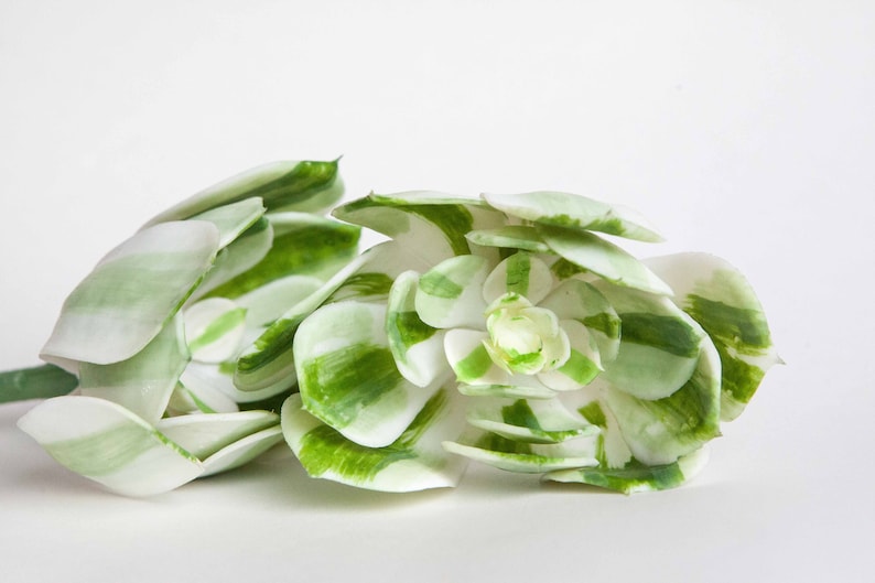 Fake Succulents Succulent Succulents One Larger Artificial Echeveria Succulent in White and Green Striped ITEM 01253