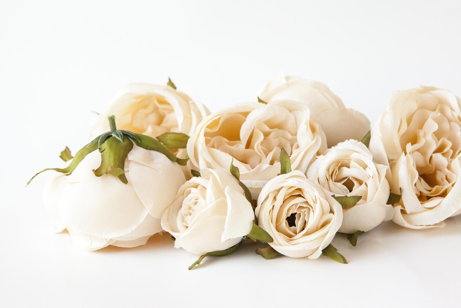 Set of 9 Small to Large Cabbage Roses in Cream Flower Crown | Etsy
