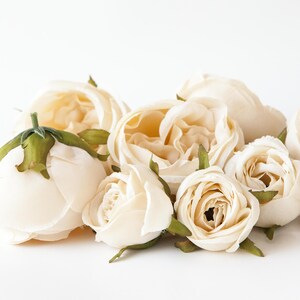 Set of 9 Small to Large Cabbage Roses in Cream Flower Crown Supplies ...