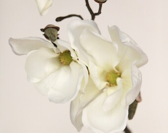 Silk Flower Stem - 19" Magnolia Spray in White - Floral Arrangement Supply - ITEM 0912
