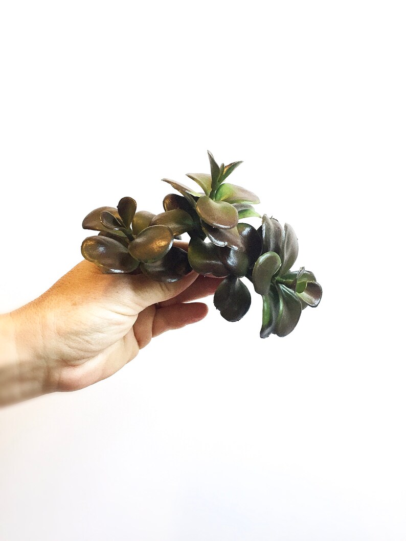 Fake Succulents 3 Artificial Jade Succulent Plants in Brown Etsy